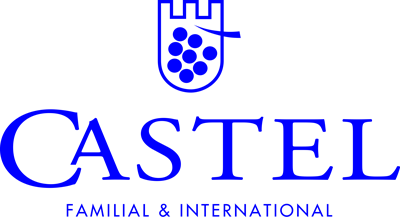 logo-groupecastel